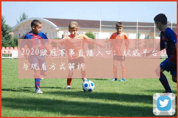 2020欧冠赛事直播入口：权威平台与观看方式解析