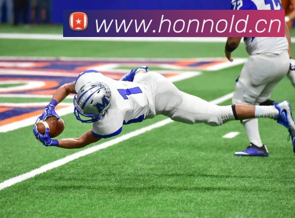 kaiyun官方网站入口平台生态图